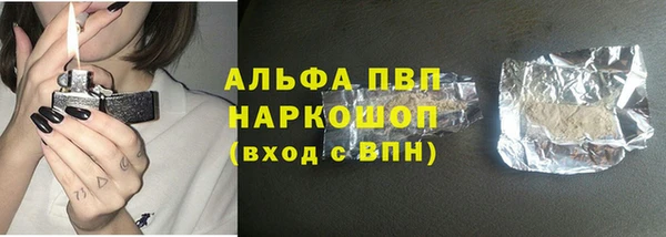 apvp Рославль