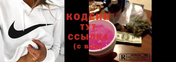 ECSTASY Алзамай