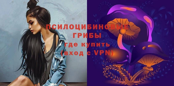 мет Арсеньев