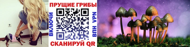 Галлюциногенные грибы Psilocybine cubensis  Артёмовск 